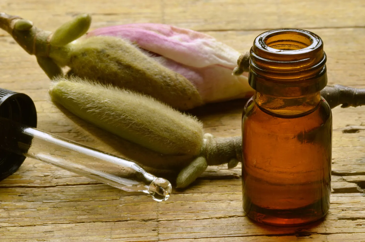 legume bio valframbert