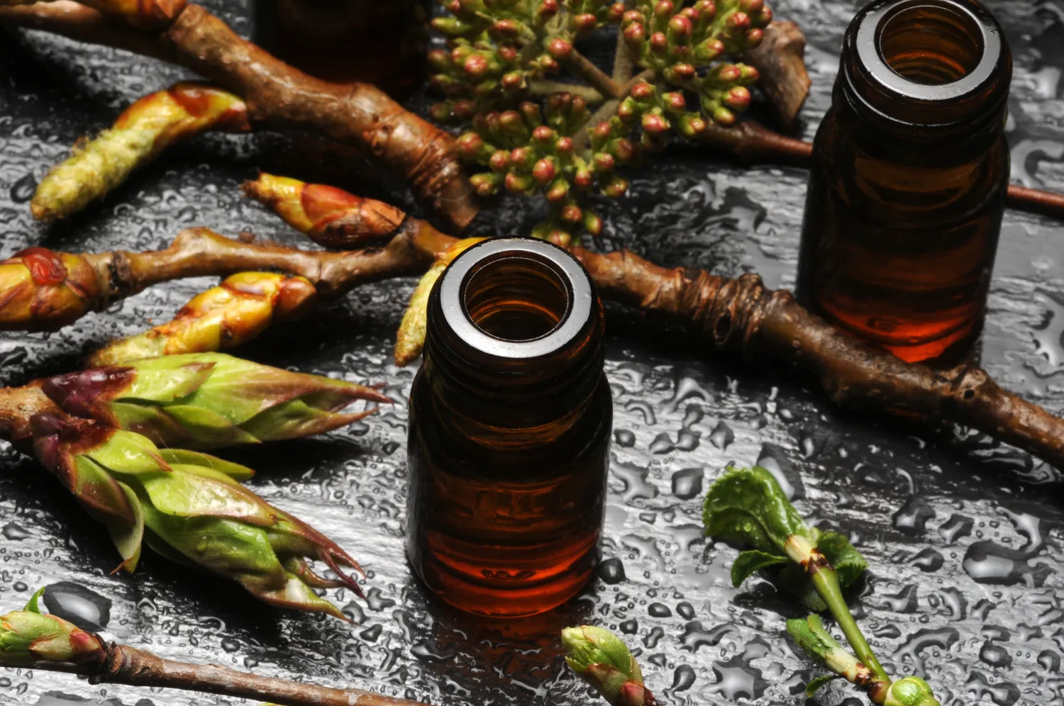 produits bio alencon