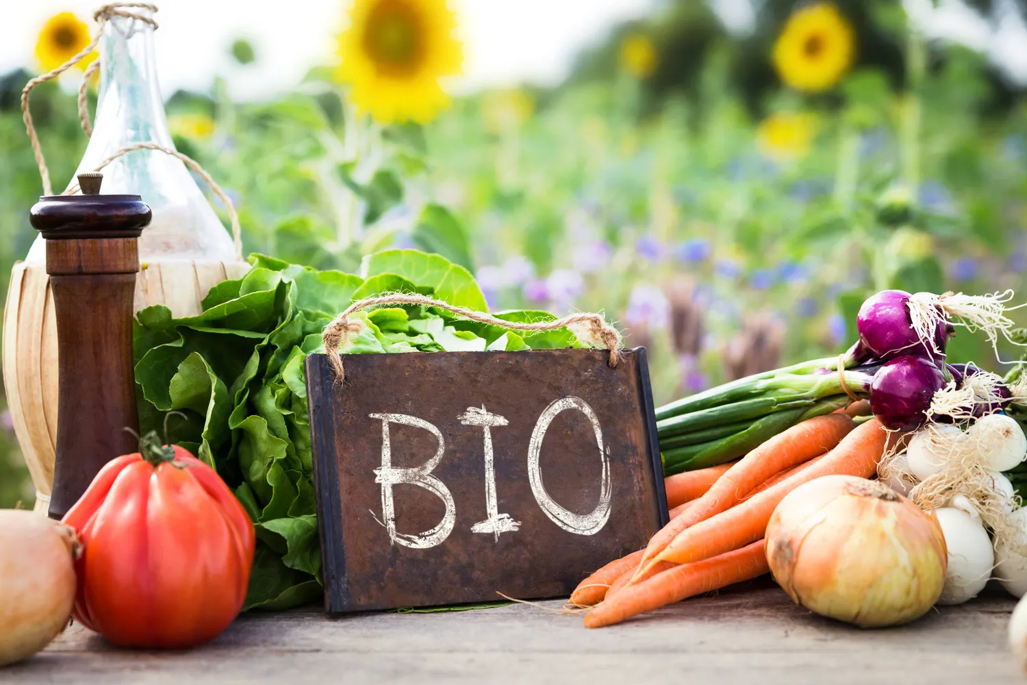 produits bio arconnay