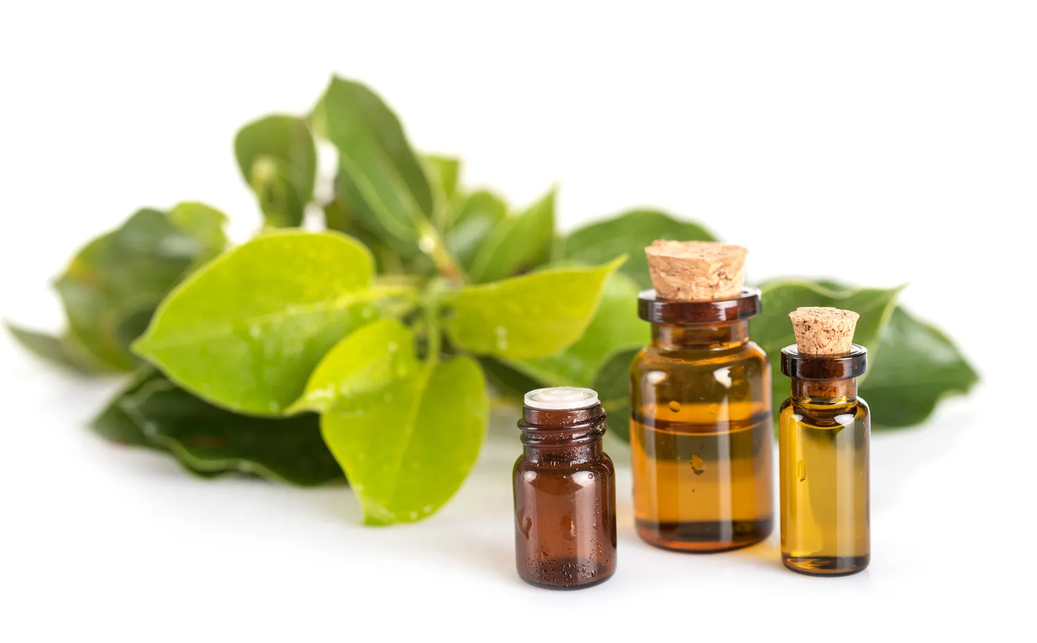 produits bio damigny